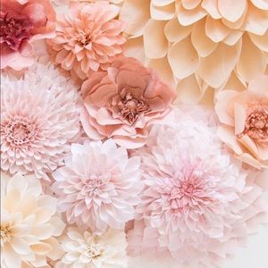 Meet your Posher, Angelina